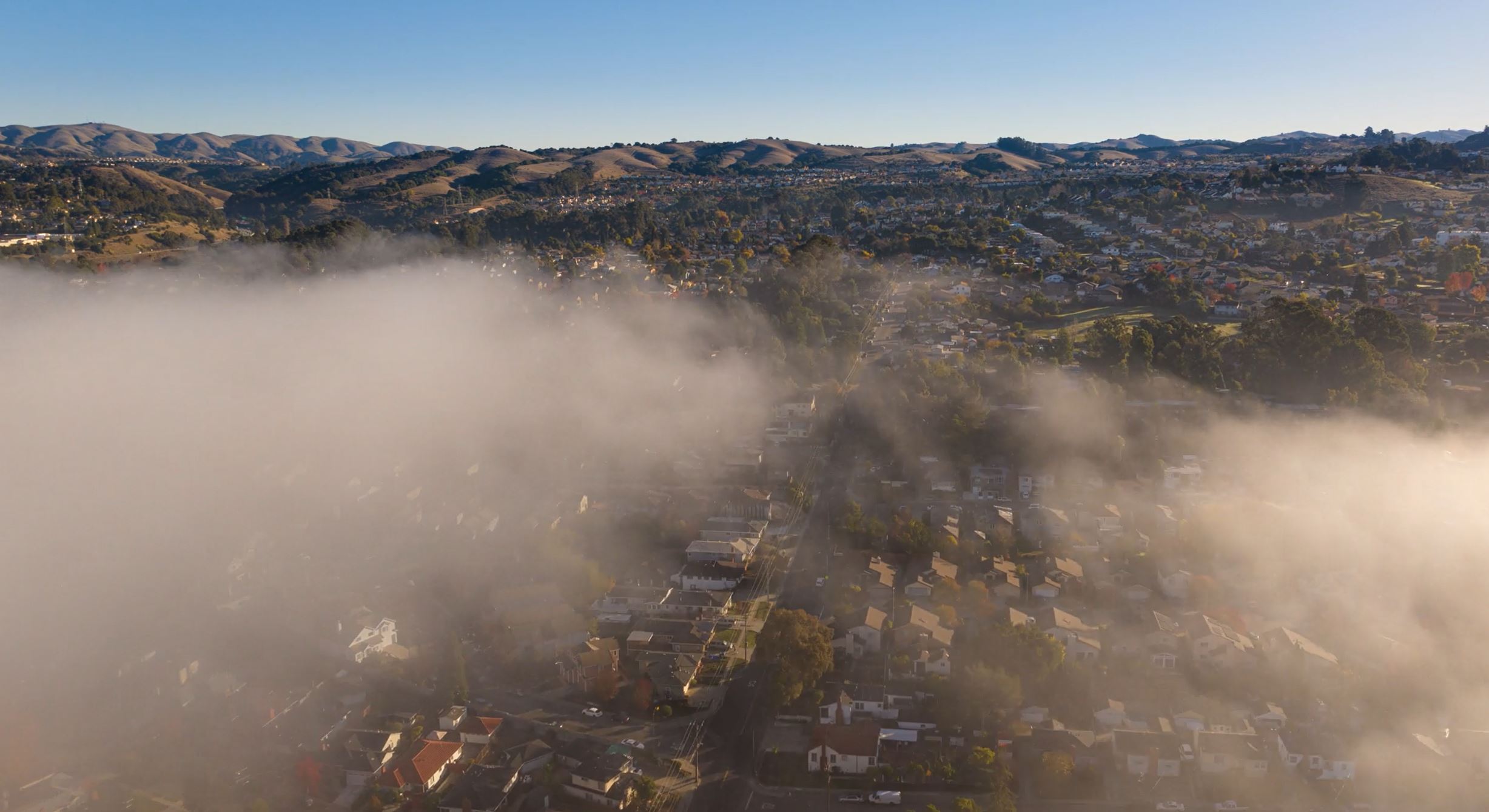 Atherton Residential Neighborhood